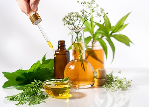 資格をもった講師がしっかりレクチャー